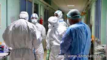 Covid, nessuna vittima nelle Marche: il bilancio fermo a 3.024 decessi - AnconaToday