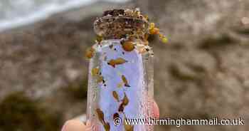 Search for Dudley holidaymakers after message in bottle sent from Isle of Wight found - Birmingham Live