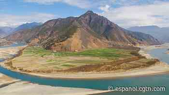 China logra notable progreso en protección de medio ambiente en río Yangtze, según informe - CGTN