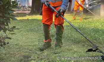 Firenze affonda nell'erba alta, task force di Alia - Qui News Firenze