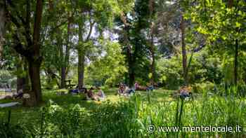 Pic nic gourmet en‑plein‑air in stile colazione impressionista sull'erba - mentelocale.it