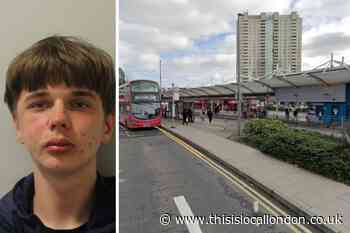 Enfield teen who robbed police officer in Edmonton jailed