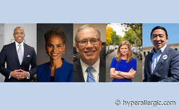 Where Do the NYC Mayoral Candidates Stand on the Arts? - Hyperallergic