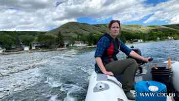 Bad news for fishing: Climate change is sucking the oxygen out of lakes, study suggests