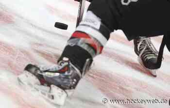 Zwei Vertragsverlängerungen Patrick Pohl und Vincent Schlenker bleiben in Crimmitschau - Hockeyweb.de