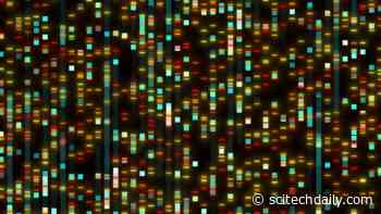 DENSe: New Twist on DNA Data Storage Lets Users Preview Stored Files