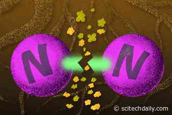 New Clues on How Nitrogenase, an Enzyme Critical for Life, Converts Nitrogen Into Ammonia
