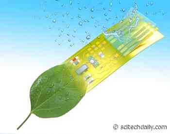 Self-Sustaining, Intelligent, Electronic Microsystems Created – Operate Much Like Self-Autonomous Living Organisms