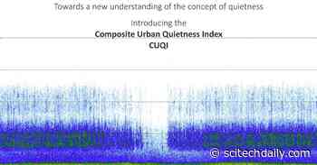 Understanding the Concept of Quietness: Measuring Quiet Sound Diversity