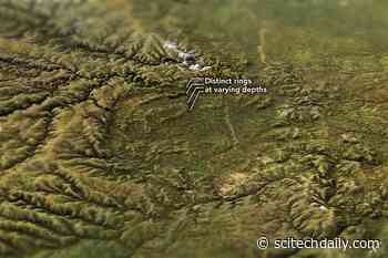 Popigai: Russia’s Crater of Diamonds – Estimated To Contain “Trillions of Carats”