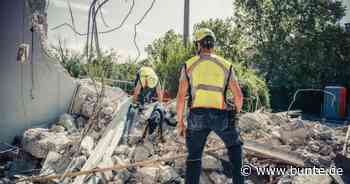 Zum Sterben zurückgelassen: Hund wird mit gebrochenem Schädel lebendig unter schweren Steinen begraben – und überlebt! - BUNTE.de