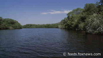 Woman in coma after crocodile attack, twin sister hospitalized in Mexico