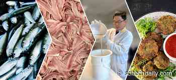 Waste Not: New Dipping Solution Turns the Whole Fish Into Valuable Food