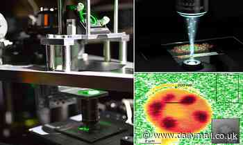Technology: Quantum microscope can zoom in on tiny structures with 35 per cent more clarity