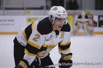 New York Rangers News & Rumors: IIHF Worlds, Schneider, Coaching Search, & More - The Hockey Writers