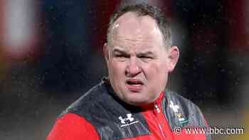 Wales confirm Gareth Williams' coaching role and Ioan Cunningham U20 post - BBC News