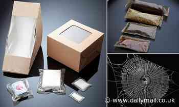 'Vegan spider silk' provides alternative to single-use plastics