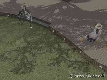 Tulane architecture graduate wins Singing Oak competition - Tulane News