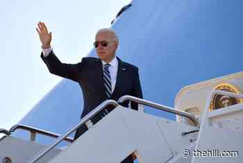 Views of US abroad grow more positive under Biden: Pew