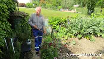 Didier cultive un potager dans son jardin à Moissac : "J'aime avoir des légumes bios, sans engrais ni produits - LaDepeche.fr