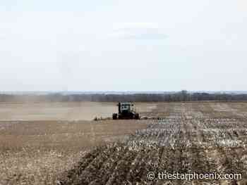 State of Agriculture: Farmers face COVID-19 challenges preparing for the spring season