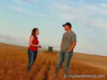 State of Agriculture: Sask. farmers dig into fresh soil for sustainable agriculture practices