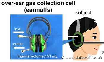 Scientists develop earmuffs can measure blood alcohol levels through the skin