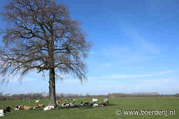 'Liever een mol stikstof meer dan boeren weg' - Boerderij