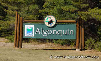 Algonquin Park issues total burn ban
