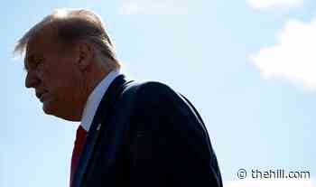 Trump dismisses climate change, calls on Biden to fire joint chiefs