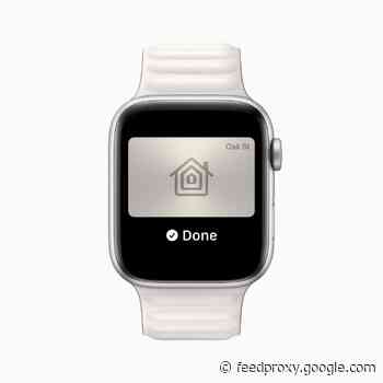 Apple has a decade-long lead in wearables