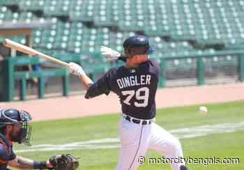 Detroit Tigers Weekly Minor League Recap: Dillon Dingler Dingers - Motor City Bengals