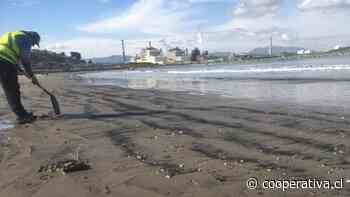 Empresas apelaron a fallo judicial que prohíbe ingreso de naves con carbón a la bahía de Quintero
