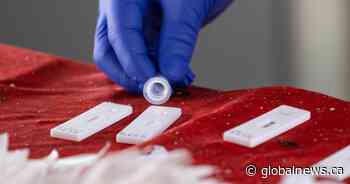 Saskatchewan opens up access to rapid antigen COVID-19 tests