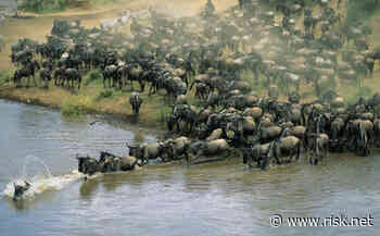 Investment flow tracking is next 'frontier' in unlocking alpha - Risk.net