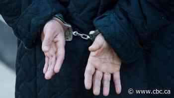 Alberta auditor general urges province to improve tracking to prevent bail, hearing delays