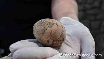 Israel Antiquities Authority unveils 1000-year old chicken egg in excavations