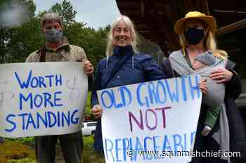 Squamish environmentalists protest Fairy Creek logging - Squamish Chief