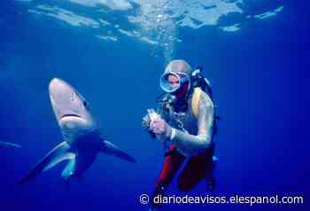 Buenavista acoge este sábado el estreno en España de 'Playing with sharks' - Diario de Avisos