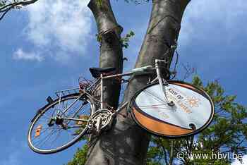 Trap mee tegen kanker - Het Belang van Limburg
