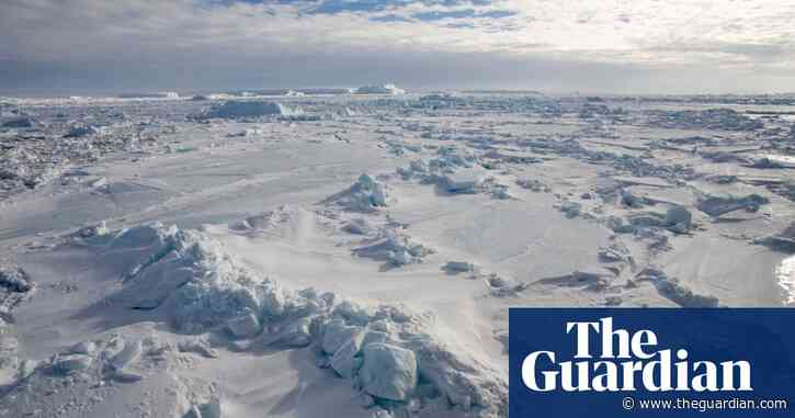 New Zealand’s Māori may have been first to discover Antarctica, study suggests