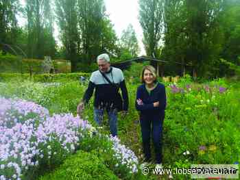 Arras : à la découverte des jardins arrageois les 12 et 13 juin - L'Observateur
