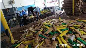 Polícia Civil incinera mais de três toneladas de drogas em Nova Andradina - Tempo MS News