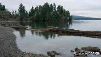 Canada's Constitution should include right to healthy environment, argues new book