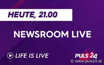 Newsroom LIVE am Montag mit Rechtsanwalt Alfred Noll - puls24