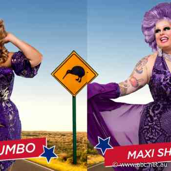 Let's Get Quizzical Coco Jumbo and Maxi Shield