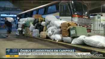 Guarda Municipal e ANTT apreendem ônibus clandestinos em Campinas - G1