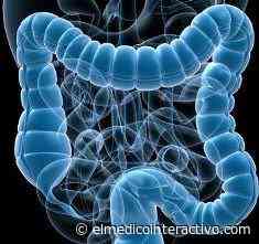 El litio puede prevenir el cáncer de colon - El Médico Interactivo