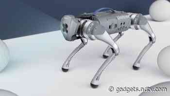 Keen on Having a Robo-Dog? Unitree's Go1 Can Be Yours for $2,700