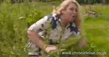 Josie Gibson falls into stinging nettles in painful live blunder